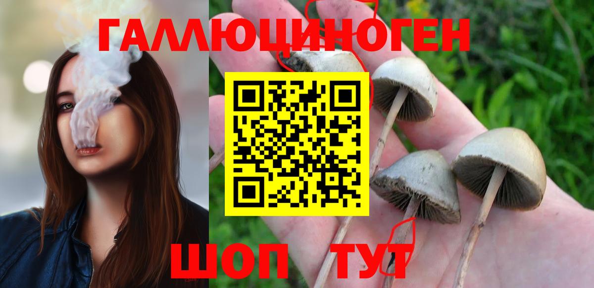 Псилоцибиновые грибы мицелий Химки